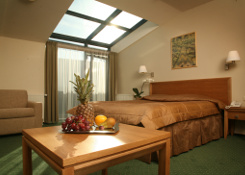 Euterpe Hotel - Luxury room